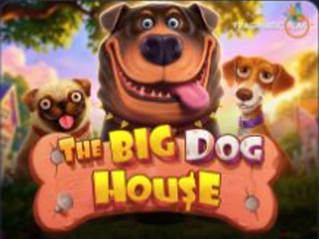 The Big Dog House w Vavada Casino